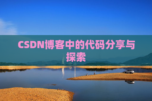 CSDN博客中的代码分享与探索